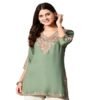 Embroidered Kashmiri Tunic Top, Short Kurti for Women
