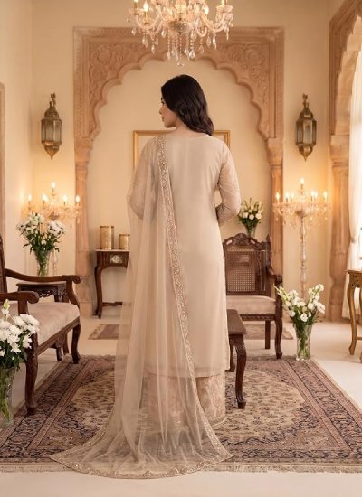 s55 Women Net Anarkali Suit